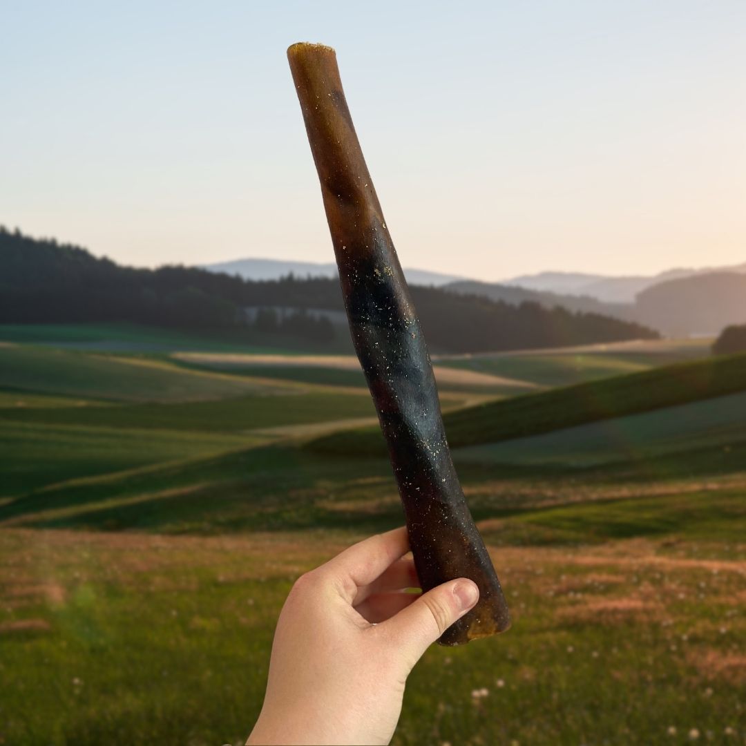Camel skin roll - 30cm Long lasting natural chew