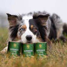 Superior Living | Premium Wet Food (400g Tin)