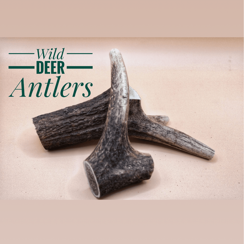 WILD ANTLER - DOG CHEWS - Wild Paws and Claws