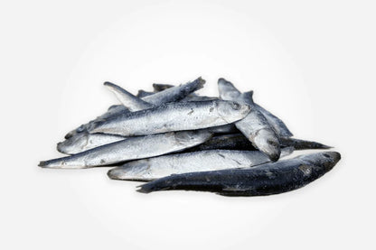 Mersey raw - Frozen - Sprats 1kg