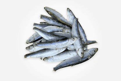 Mersey raw - Frozen - Sprats 1kg