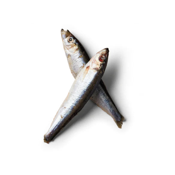 Raw Sprats 1kg